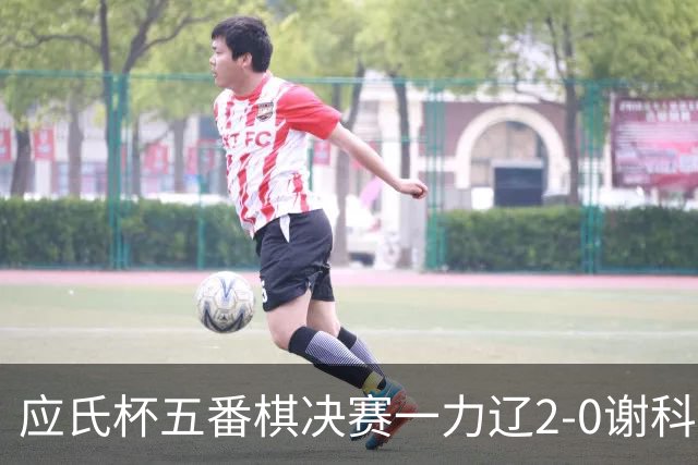 应氏杯五番棋决赛一力辽2-0谢科 率先拿到赛点